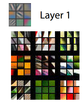 layer 1的可视化
